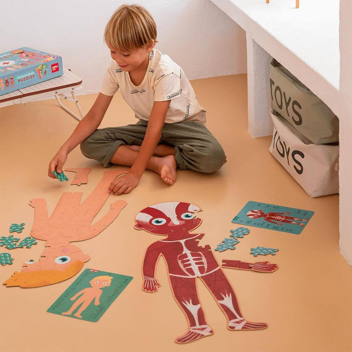 Human Body Puzzle 240 Pieces