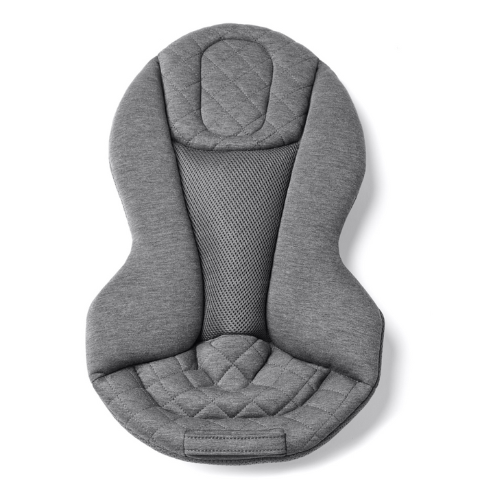 Ergobaby Evolve Charcoal Grey Bouncer