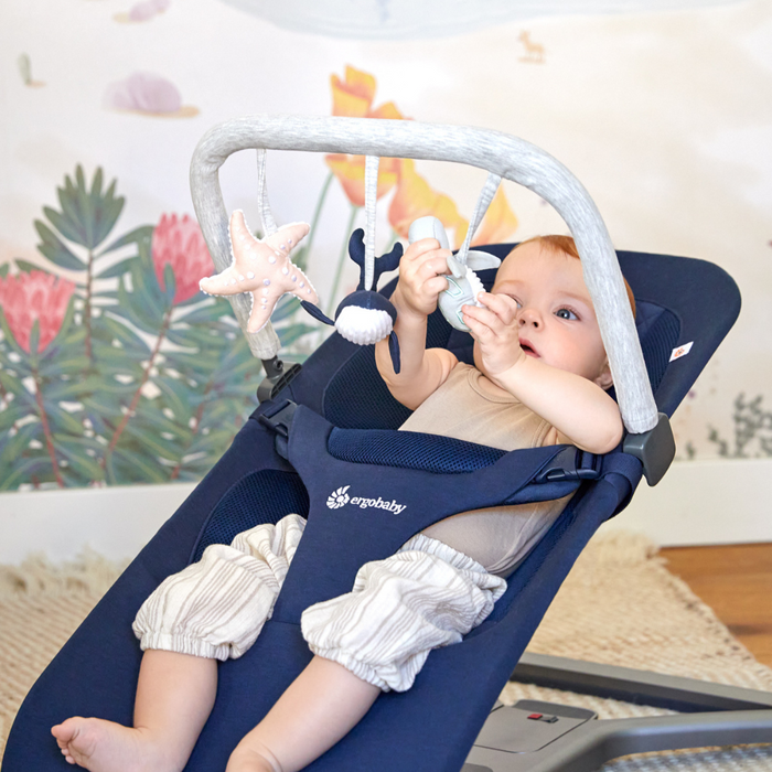 Ergobaby Evolve Lounger Toy - Sea