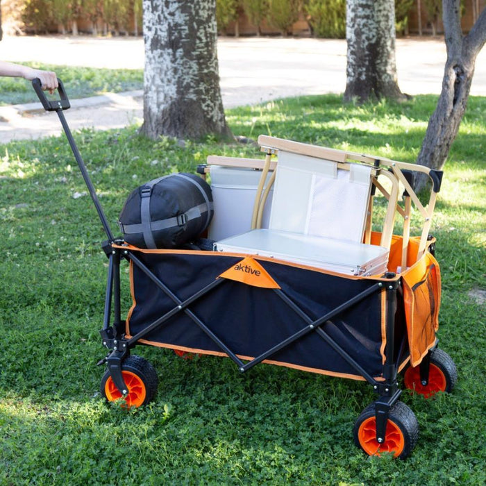 Carro de Transporte Dobrável - Carga Máxima 100 kg