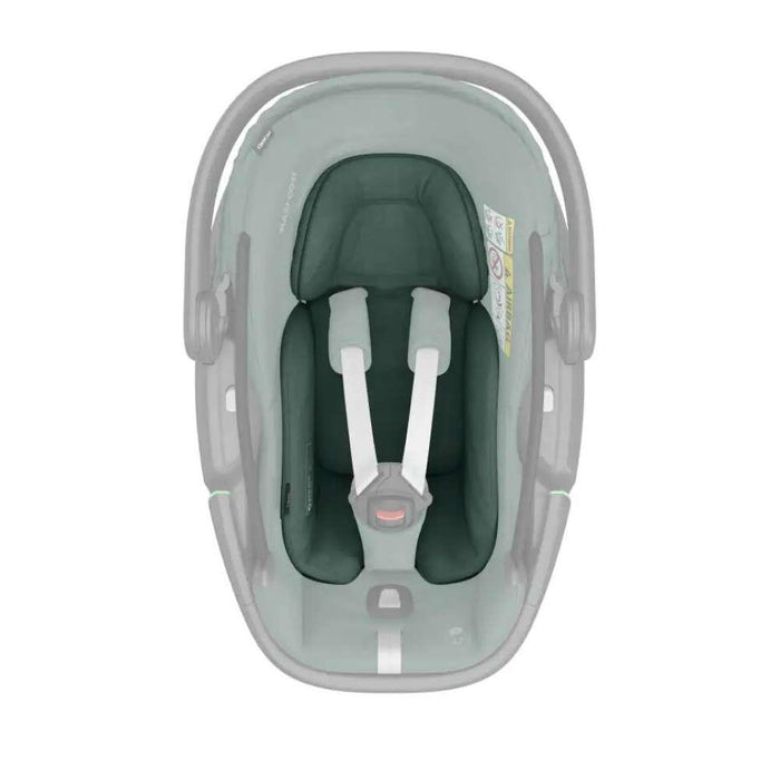 Maxi Cosi Grupo 0 Coral 360 Essential Green