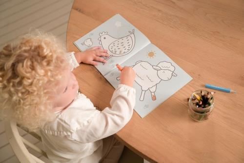 Little Farm Coloring Book