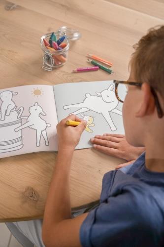 Little Farm Coloring Book