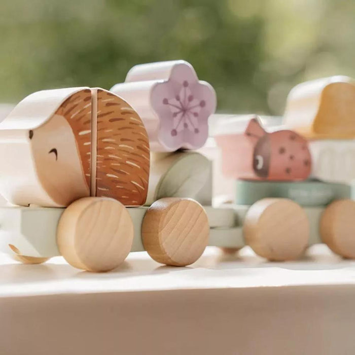 Wooden Fairy Garden Hedgehog Train