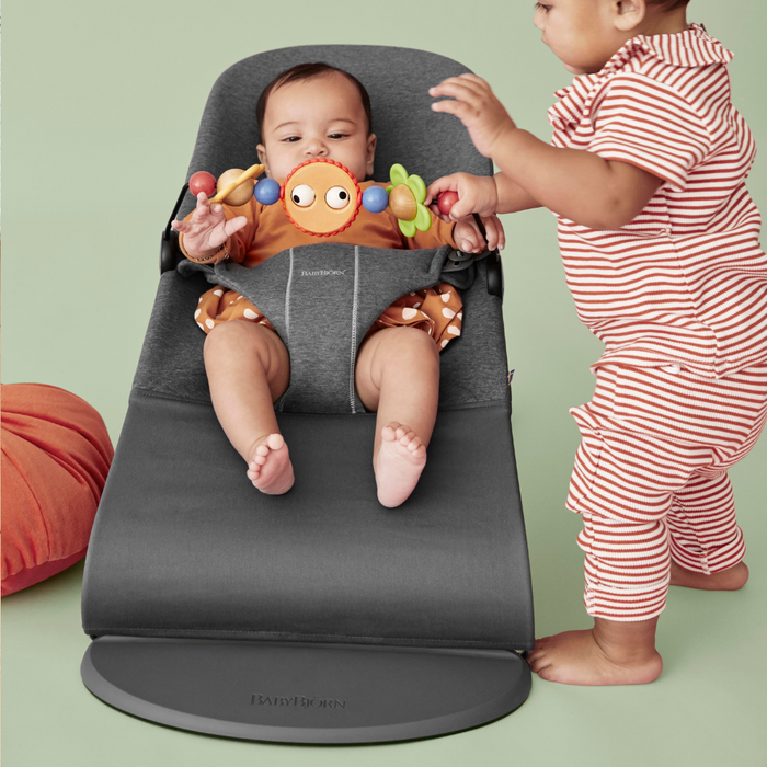 Sillón BabyBjorn Bliss 3D J. Gris Oscuro