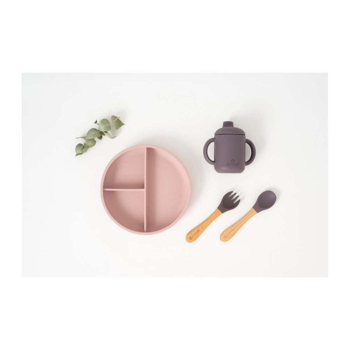 Conjunto de Alimentação com 5 Peças em Silicone Rosa