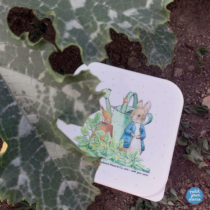 Peter Rabbit 3 Cajas Blanco/Gris