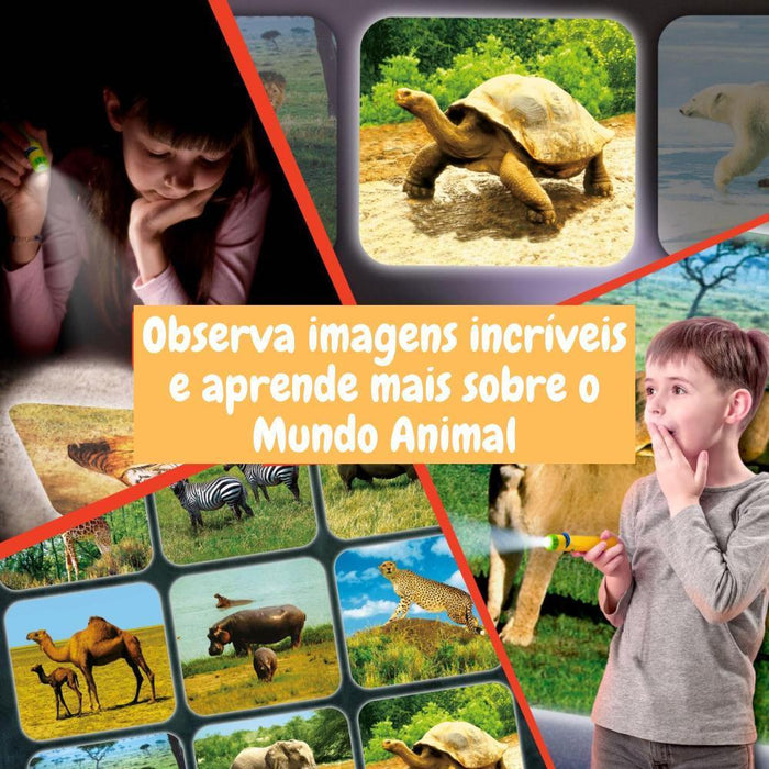 Lanterna Projetora Animais