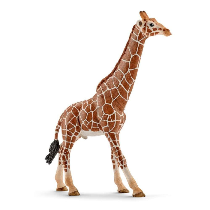 Schleich Girafa Macho