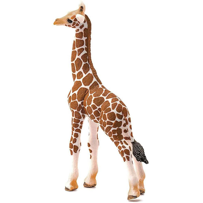 Schleich Giraffe Breeds