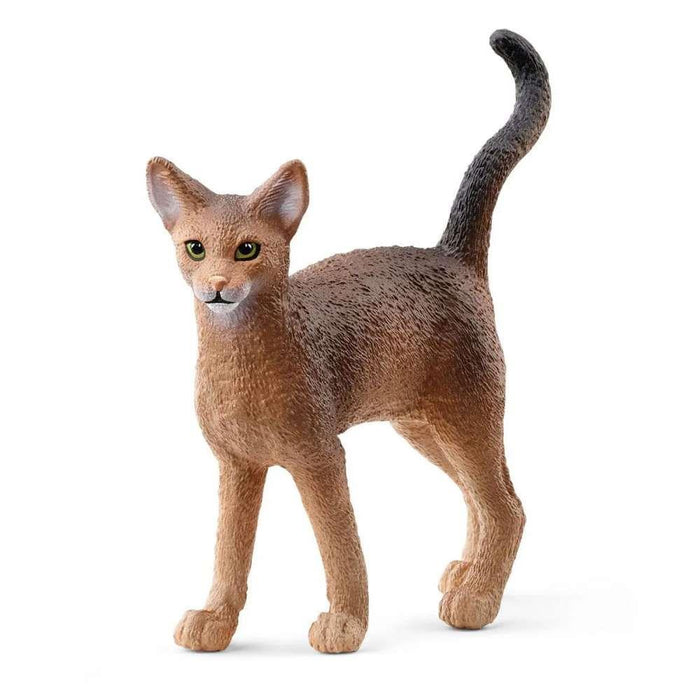 Gato Abisinio Schleich