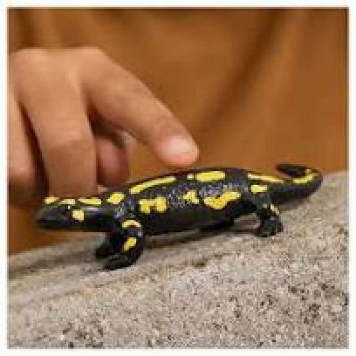 Salamandra