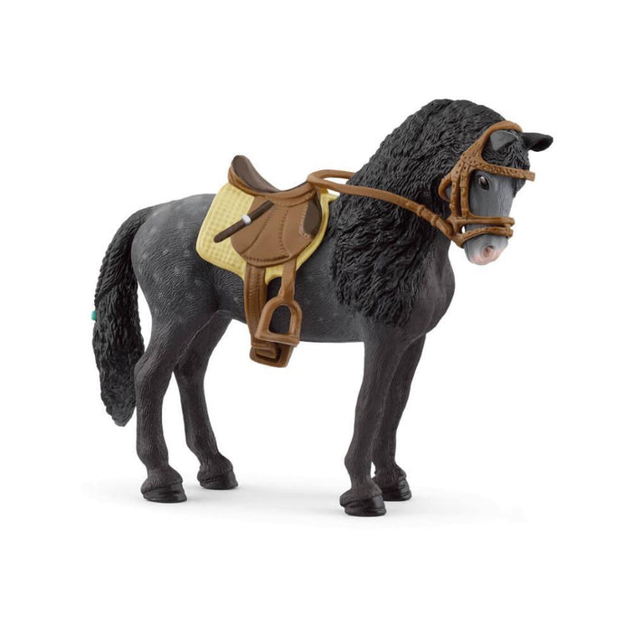 Purebred Spanish Mare with Accessories