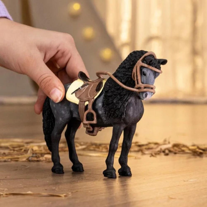 Purebred Spanish Mare with Accessories