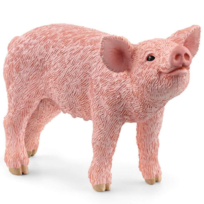 Schleich Leitão